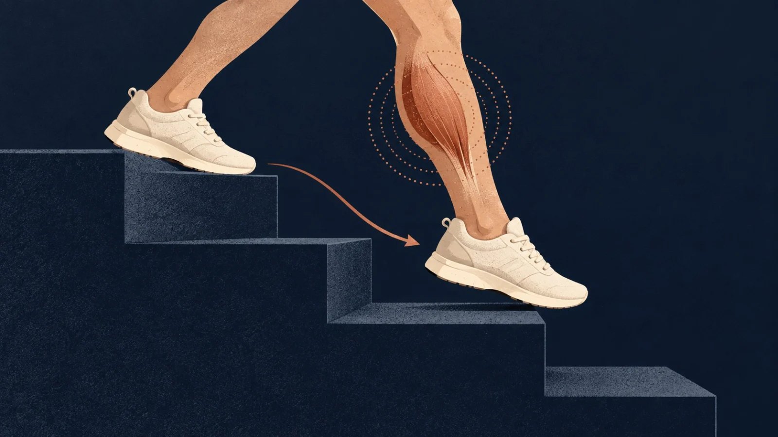 A pair of trainers descends steps while copper rings mark a working calf muscle